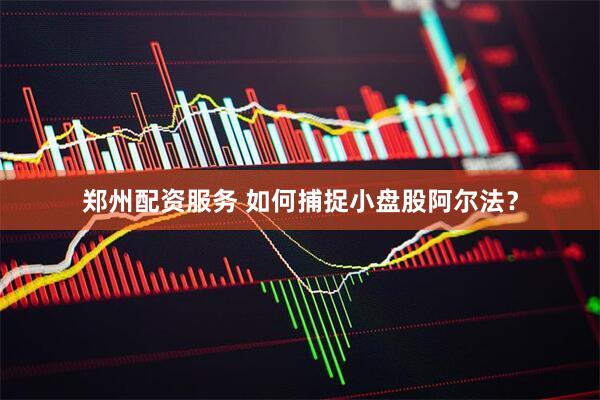 郑州配资服务 如何捕捉小盘股阿尔法？