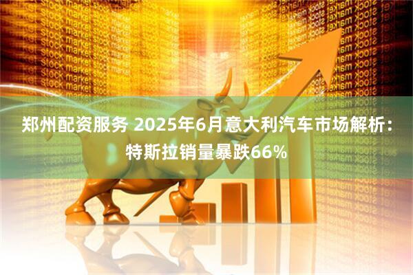 郑州配资服务 2025年6月意大利汽车市场解析：特斯拉销量暴跌66%