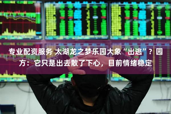 专业配资服务 太湖龙之梦乐园大象“出逃”？园方：它只是出去散了下心，目前情绪稳定